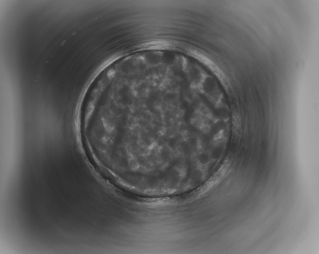 X0000100921426200807221106