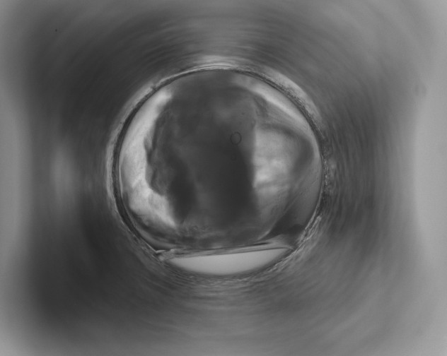 X0000100921427200807221106