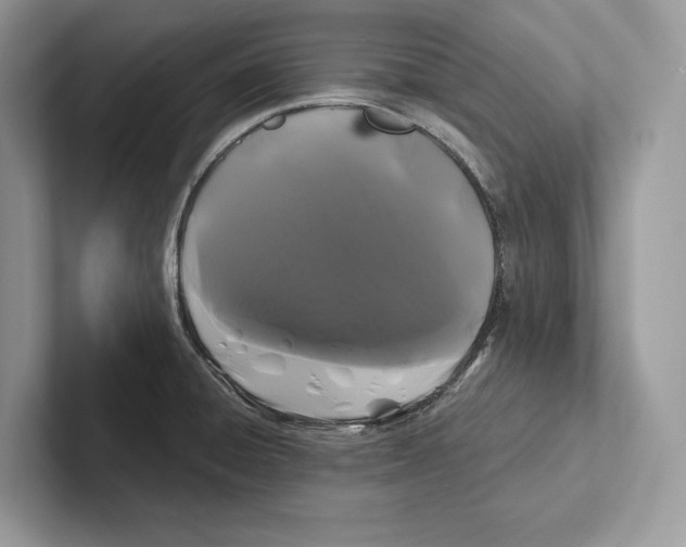 X0000100921428200807221106