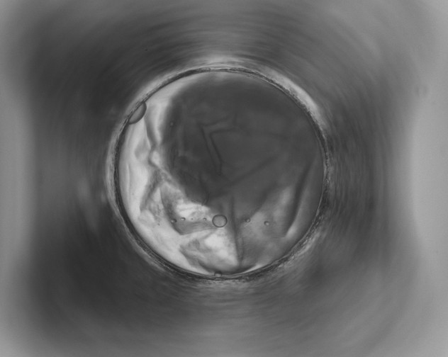 X0000100921429200807221106