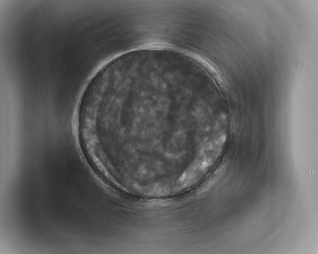 X0000100921430200807221106