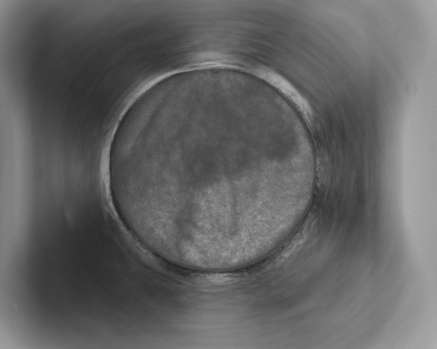 X0000100921431200807221106