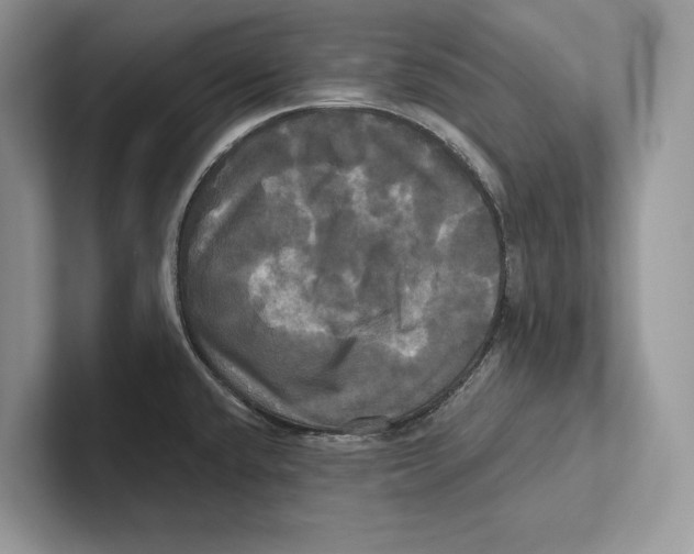 X0000100921432200807221106