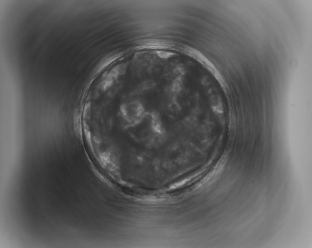 X0000100921433200807221106