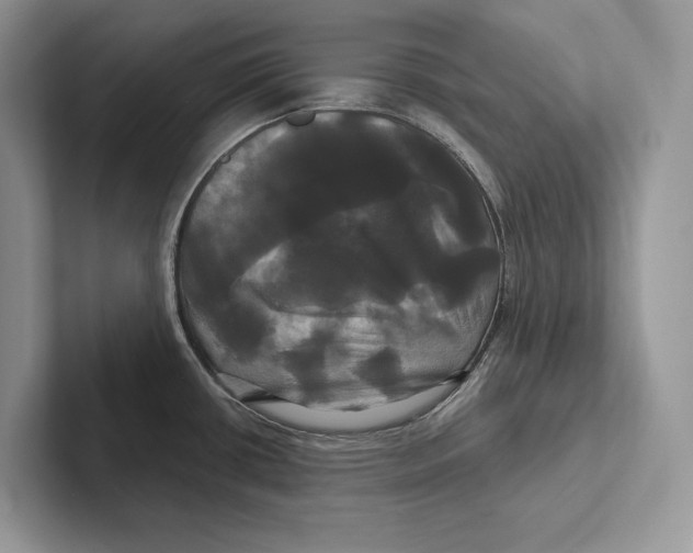 X0000100921434200807221106