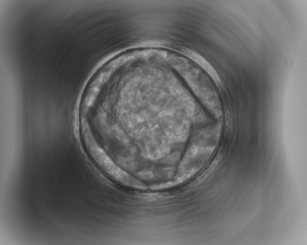X0000100921436200807221106