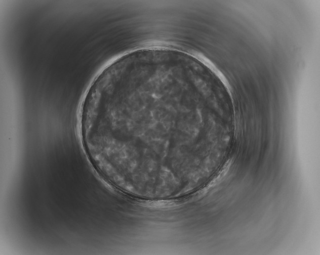 X0000100921437200807221106