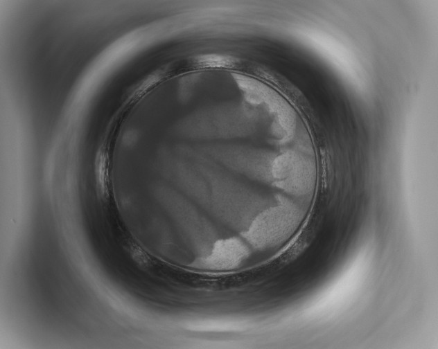 X0000100921438200807221106