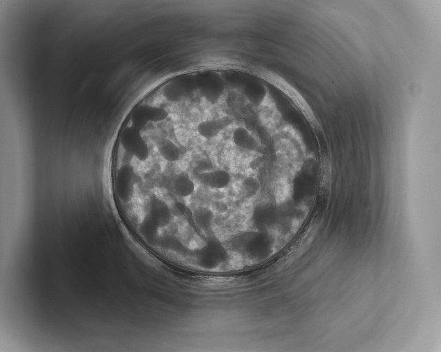X0000100921439200807221106