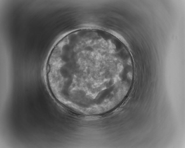 X0000100921440200807221106