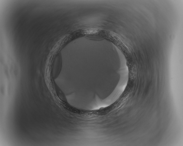 X0000100921441200807221106