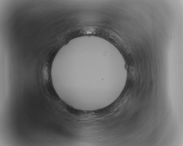 X0000100921442200807221106