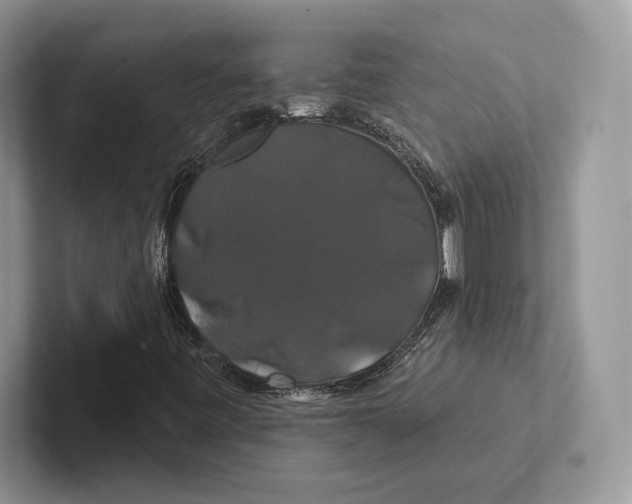 X0000100921443200807221106