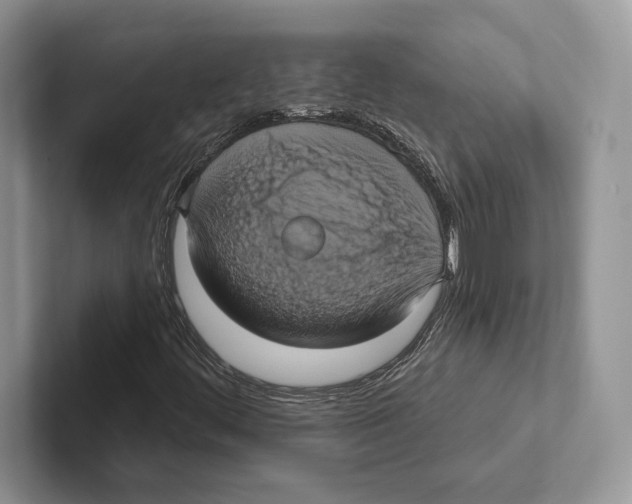 X0000100921444200807221106