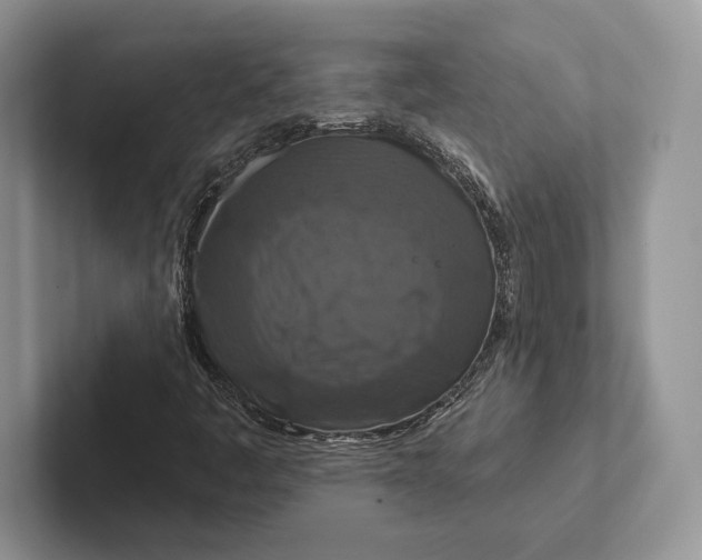 X0000100921445200807221106