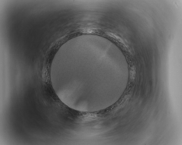 X0000100921446200807221106
