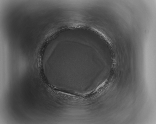 X0000100921447200807221106