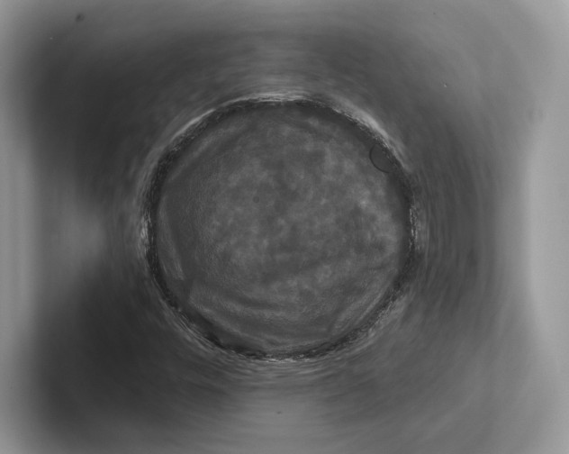 X0000100921448200807221106
