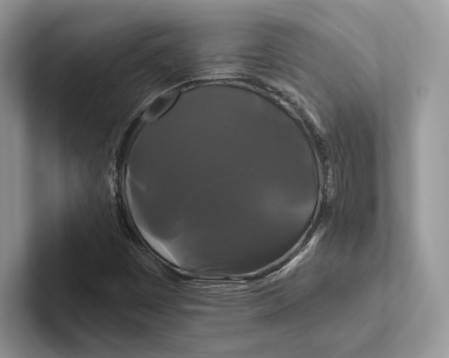 X0000100921449200807221106