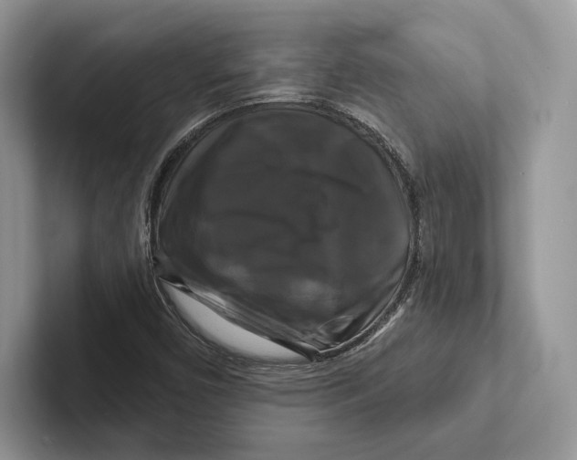 X0000100921450200807221106