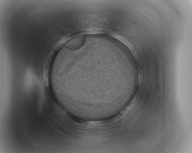 X0000100921451200807221106