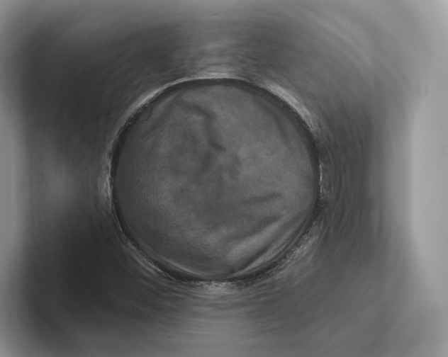 X0000100921452200807221106