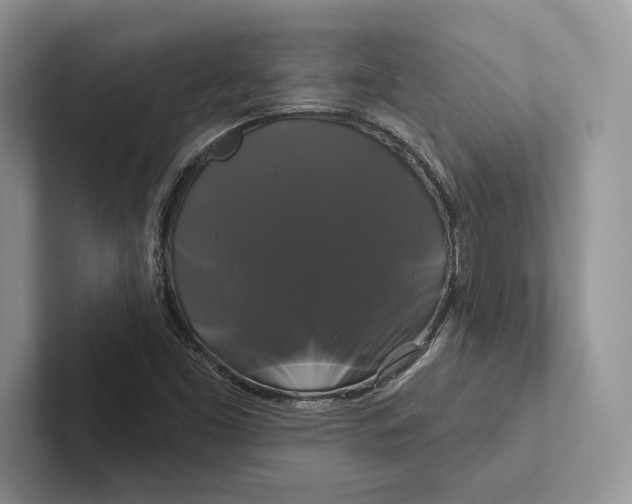 X0000100921453200807221106