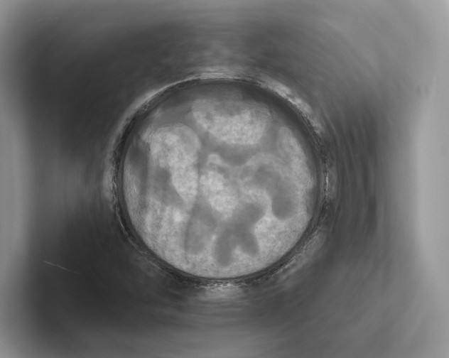 X0000100921454200807221106