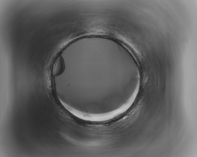 X0000100921455200807221106
