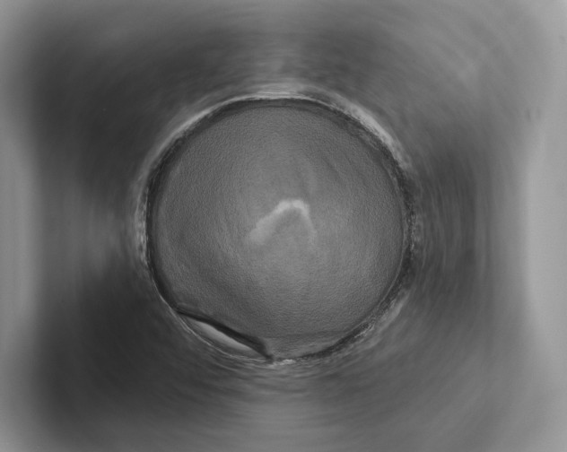 X0000100921456200807221106