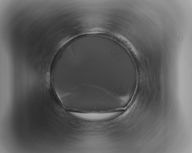 X0000100921457200807221106