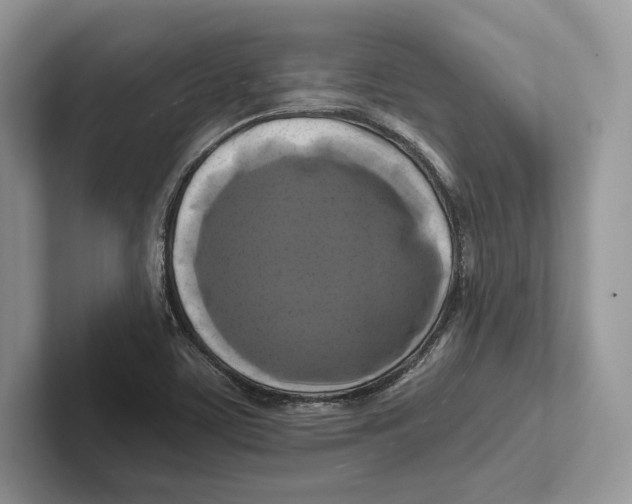 X0000100921459200807221106