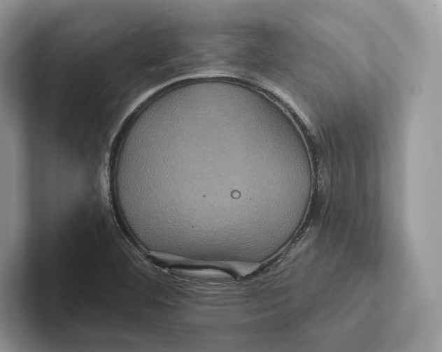 X0000100921460200807221106