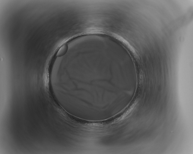 X0000100921461200807221106