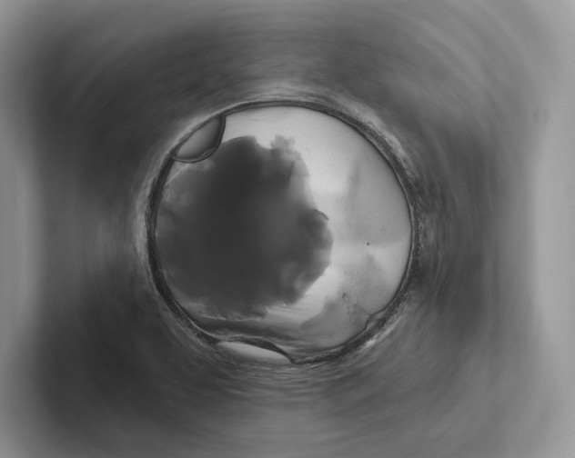 X0000100921463200807221105