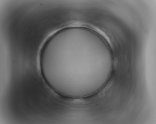 X0000100921464200807221105