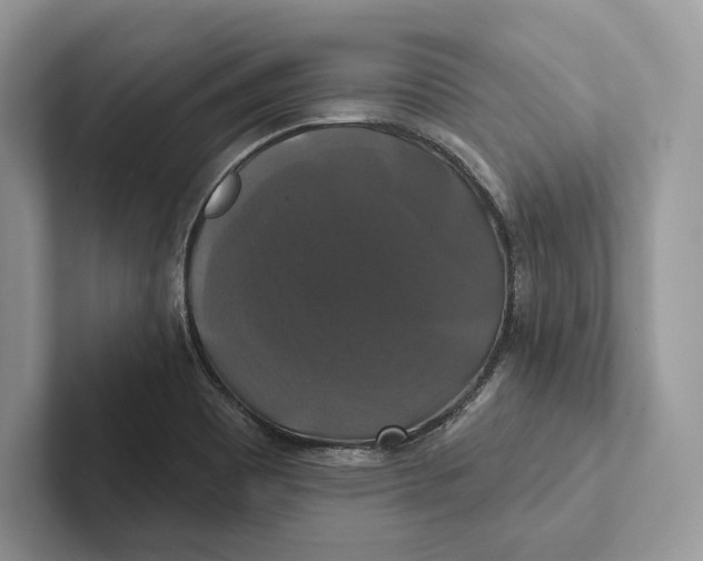 X0000100921465200807221105