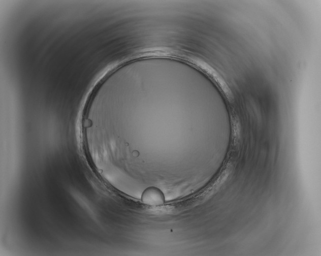 X0000100921466200807221105