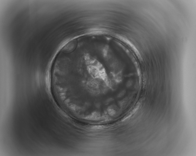 X0000100921467200807221105