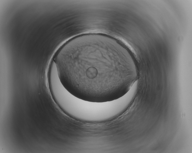 X0000100921468200807221105