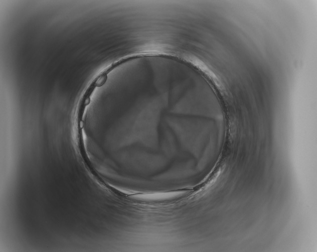 X0000100921469200807221105