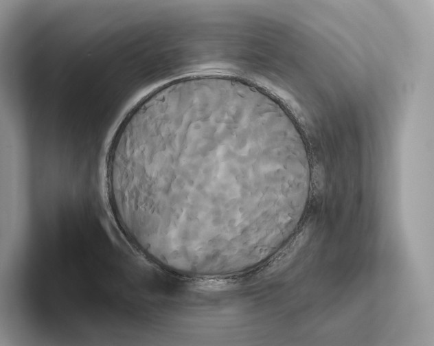 X0000100921470200807221105