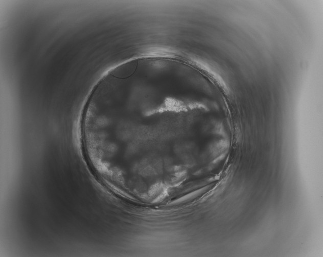 X0000100921471200807221105
