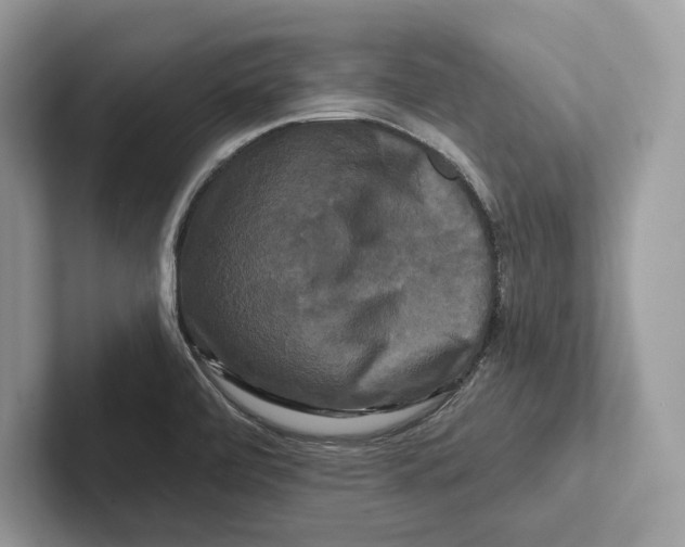 X0000100921472200807221105
