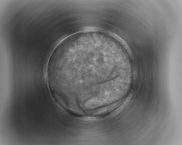X0000100921473200807221105