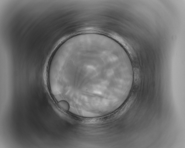 X0000100921474200807221105