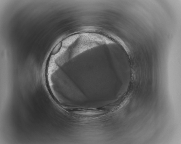 X0000100921475200807221105