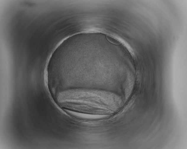 X0000100921476200807221105