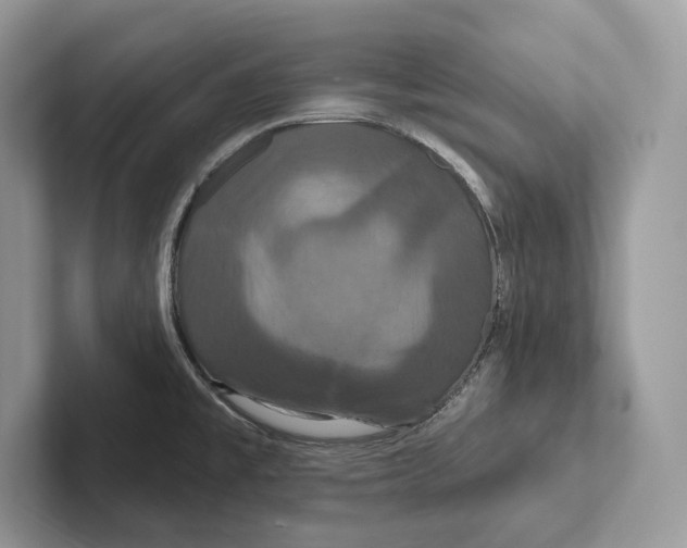 X0000100921477200807221105