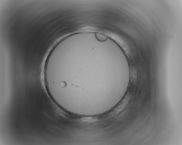 X0000100921478200807221105
